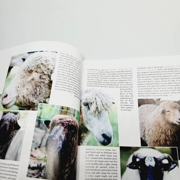 Taproot Magazine , Issue 41 "Extend" - Picture 5 of 14